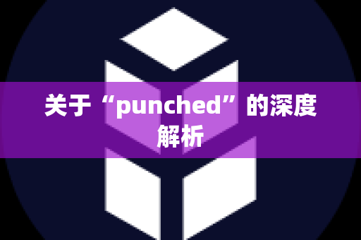 关于“punched”的深度解析