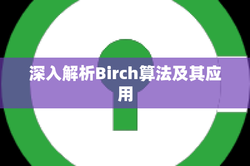 深入解析Birch算法及其应用