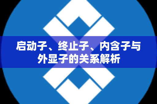 启动子、终止子、内含子与外显子的关系解析