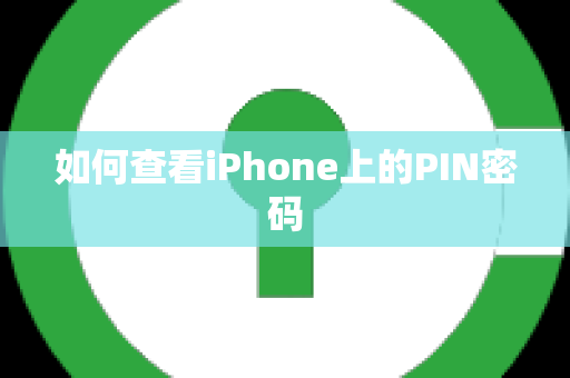 如何查看iPhone上的PIN密码