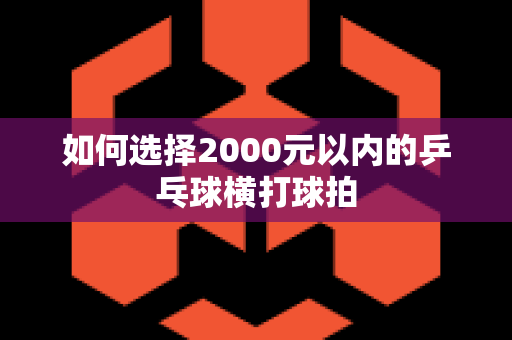 如何选择2000元以内的乒乓球横打球拍