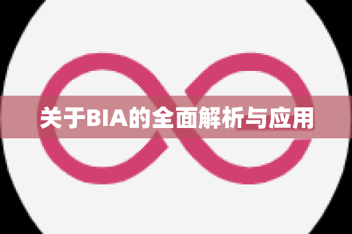 关于BIA的全面解析与应用