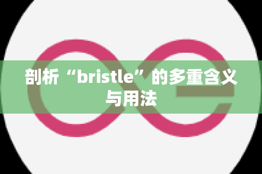 剖析“bristle”的多重含义与用法