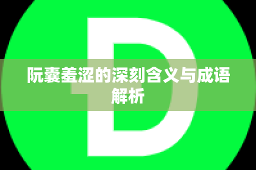 阮囊羞涩的深刻含义与成语解析