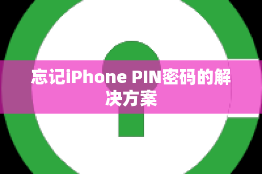 忘记iPhone PIN密码的解决方案