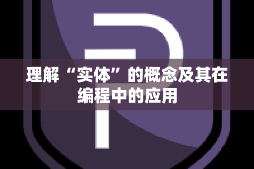 理解“实体”的概念及其在编程中的应用