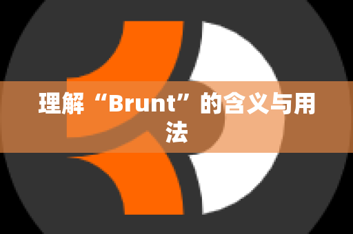 理解“Brunt”的含义与用法