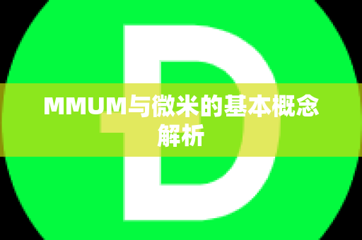 MMUM与微米的基本概念解析