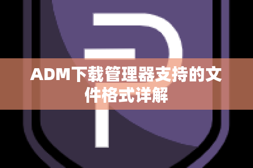 ADM下载管理器支持的文件格式详解