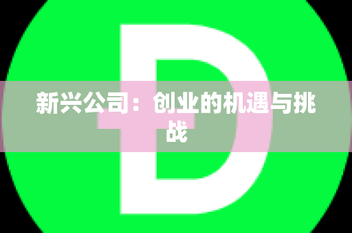 新兴公司：创业的机遇与挑战