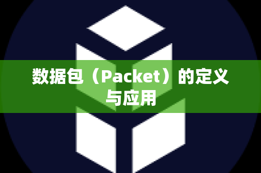 数据包（Packet）的定义与应用