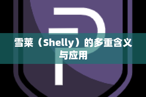 雪莱（Shelly）的多重含义与应用