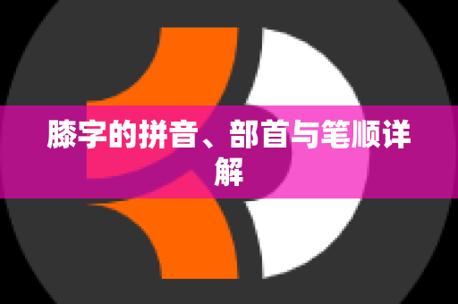 膝字的拼音、部首与笔顺详解