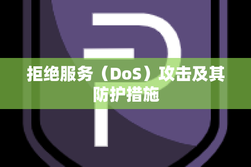 拒绝服务（DoS）攻击及其防护措施