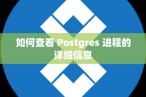 如何查看 Postgres 进程的详细信息