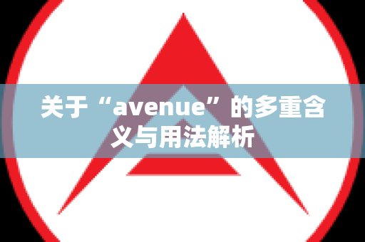 关于“avenue”的多重含义与用法解析