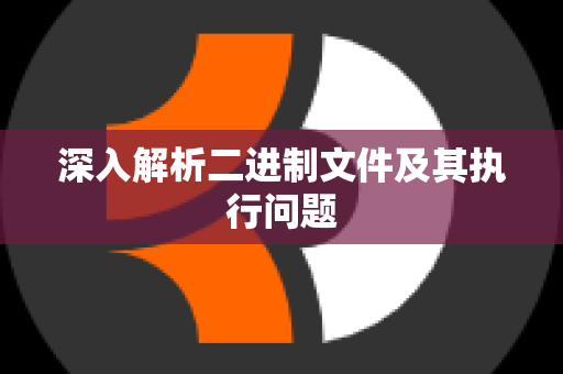 深入解析二进制文件及其执行问题