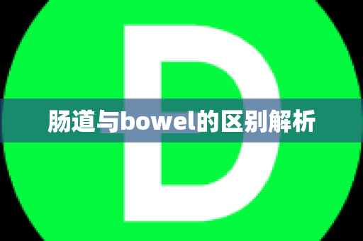 肠道与bowel的区别解析