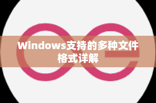 Windows支持的多种文件格式详解