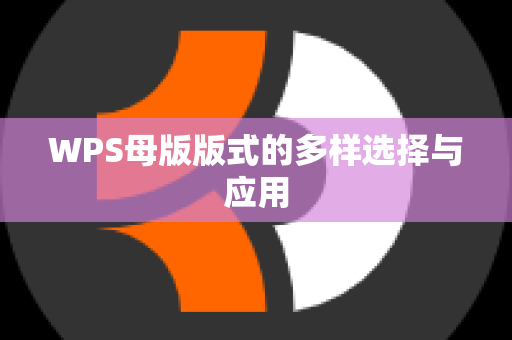 WPS母版版式的多样选择与应用