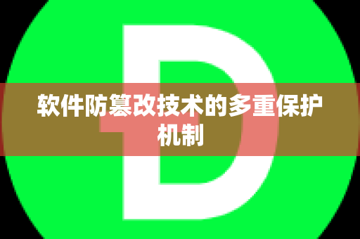 软件防篡改技术的多重保护机制