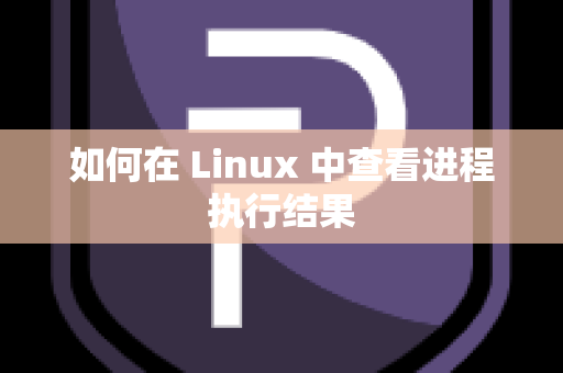 如何在 Linux 中查看进程执行结果