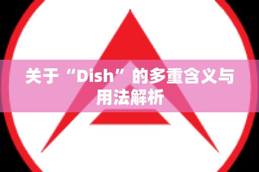 关于“Dish”的多重含义与用法解析