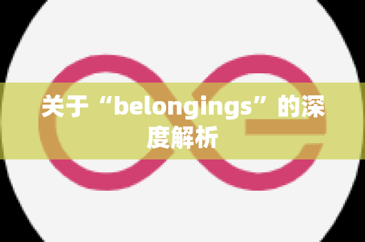 关于“belongings”的深度解析