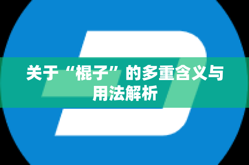 关于“棍子”的多重含义与用法解析