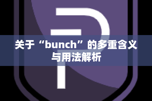 关于“bunch”的多重含义与用法解析