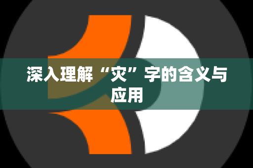 深入理解“灾”字的含义与应用