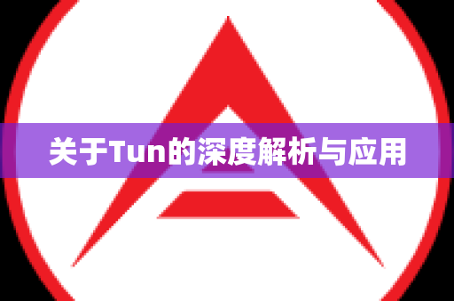 关于Tun的深度解析与应用