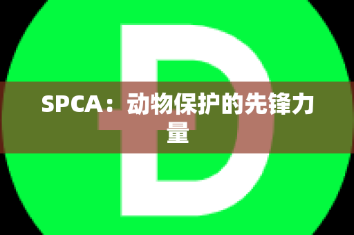 SPCA：动物保护的先锋力量