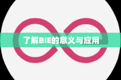 了解BIE的意义与应用