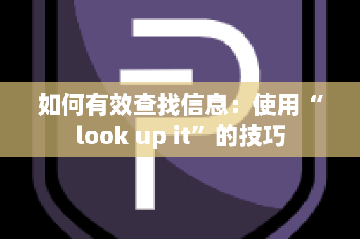 如何有效查找信息：使用“look up it”的技巧