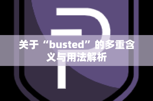 关于“busted”的多重含义与用法解析