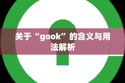 关于“gook”的含义与用法解析