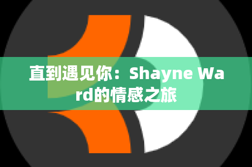 直到遇见你：Shayne Ward的情感之旅