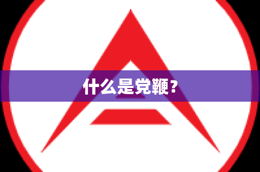 什么是党鞭？