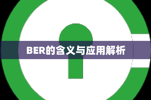 BER的含义与应用解析