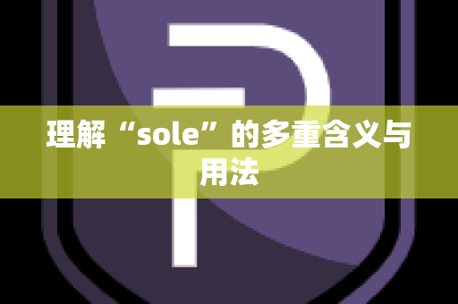 理解“sole”的多重含义与用法