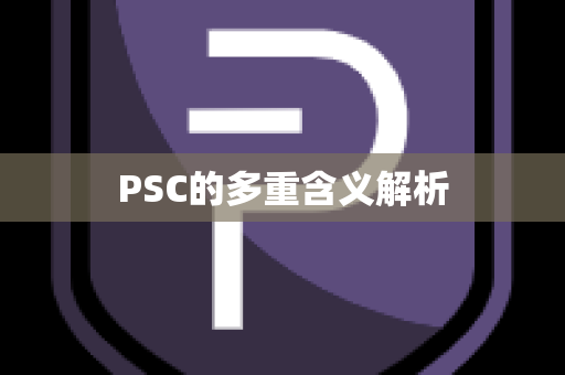 PSC的多重含义解析