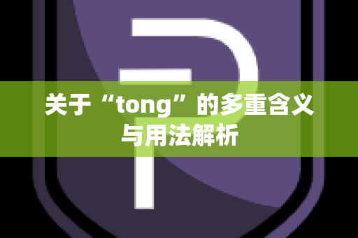 关于“tong”的多重含义与用法解析