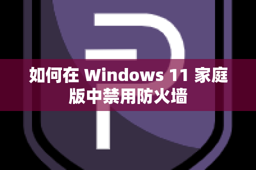 如何在 Windows 11 家庭版中禁用防火墙