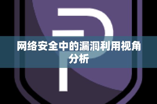 网络安全中的漏洞利用视角分析