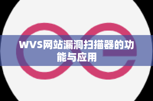 WVS网站漏洞扫描器的功能与应用