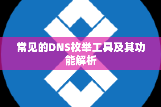 常见的DNS枚举工具及其功能解析