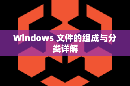 Windows 文件的组成与分类详解