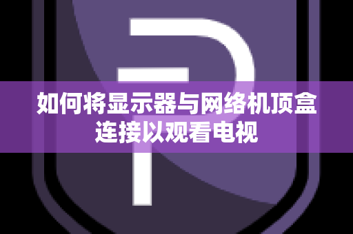 如何将显示器与网络机顶盒连接以观看电视