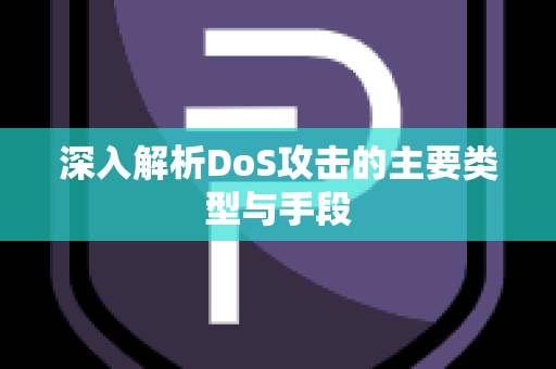 深入解析DoS攻击的主要类型与手段